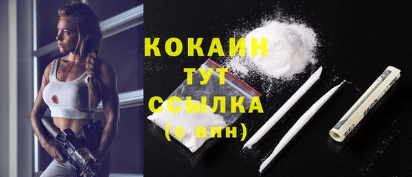 хмурый Каменногорск