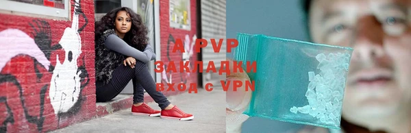 хмурый Каменногорск