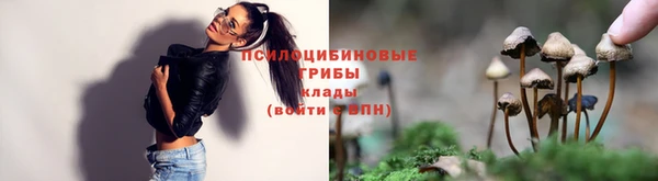 дмт Каменск-Шахтинский