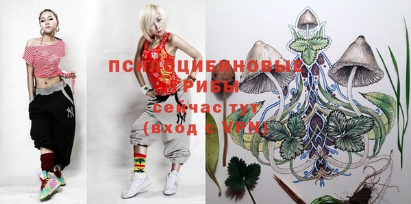 хмурый Каменногорск