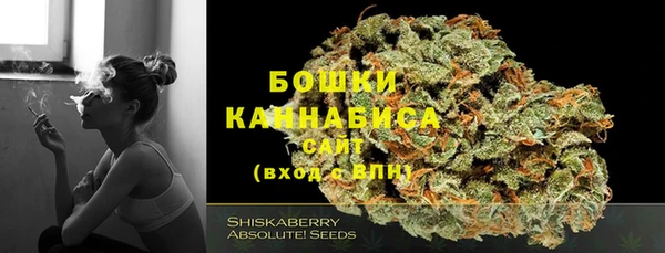 хмурый Каменногорск