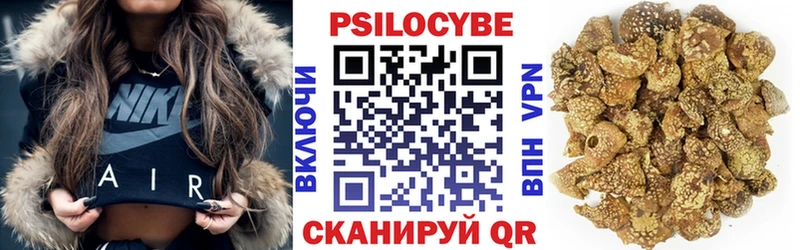 Псилоцибиновые грибы GOLDEN TEACHER  Купить где  Лахденпохья 
